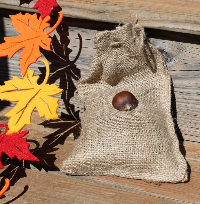 Holiday special - 2 pounds of fresh chestnuts, with cutter